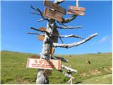 Za Ušivcem - Kapela Marije Snežne (Velika planina)